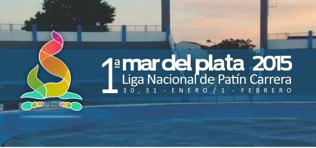 El afiche oficial de la 1º fecha de la Liga Nacional de Patín Carrera. 