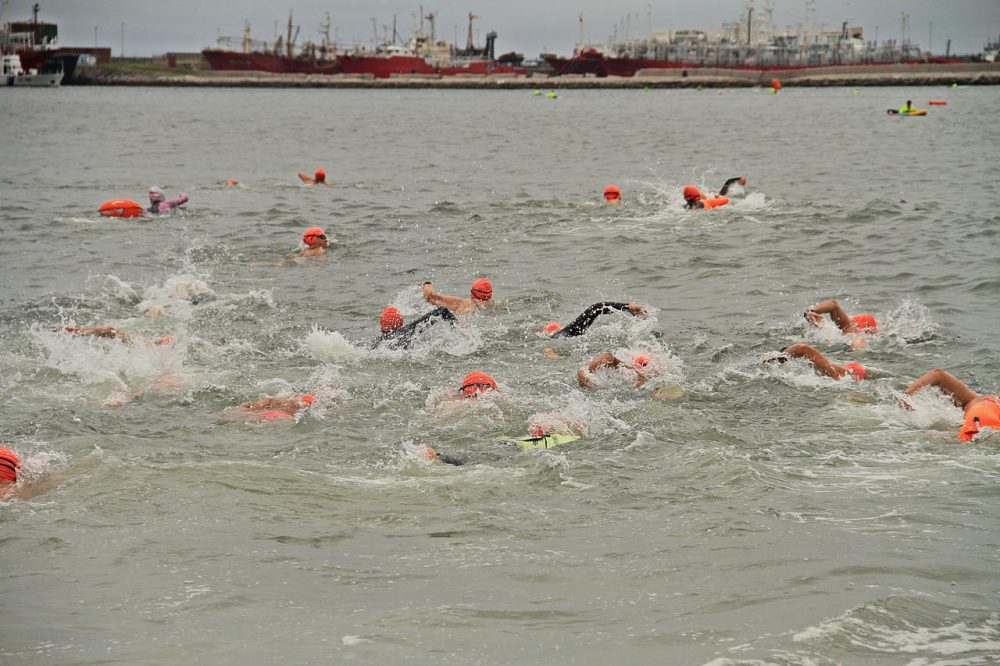 Primera Edición - Open Water - 2